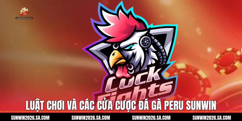 Luật chơi và các cửa cược Đá gà Peru Sunwin