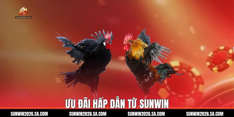 Ưu Đãi Hấp Dẫn Từ Sunwin